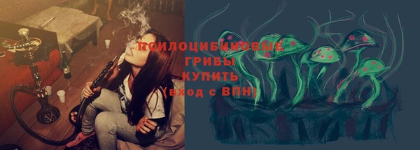 стаф Балахна