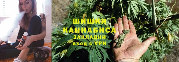 стаф Балахна